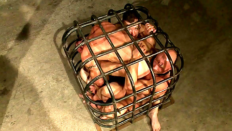 The Battle of the Suffering Sluts - Live Shoot