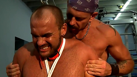 Gym Training Agony - Part 7