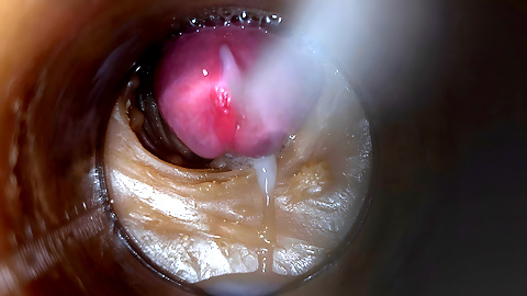 Precum in my pussy Camera In Vagina 4k