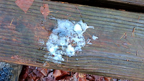 Outdoor walk with cumming on a bench